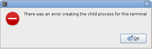 Error creating the child process for this terminal